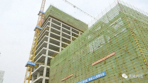 黃陂區(qū)融媒體中心大樓主體工程順利封頂，二期建設(shè)即將全面展開(kāi)
